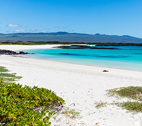 Cerro Brujo Archipel ATC Cruises Galapagos Islands Ecuador