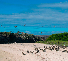 Darwin Bay Archipel ATC Cruises Galapagos Islands Ecuador