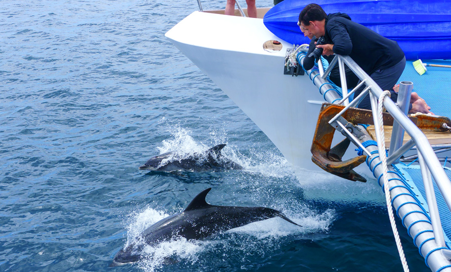 Catamaran Archipel ATC Cruises Galapagos Islands Ecuador