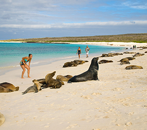 Gardner Bay Archipel ATC Cruises Galapagos Islands Ecuador