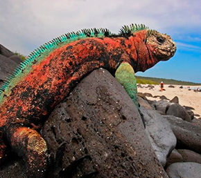 Suarez point Archipel ATC Cruises Galapagos Islands Ecuador