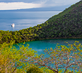 Tagus Cove Archipel ATC Cruises Galapagos Islands Ecuador