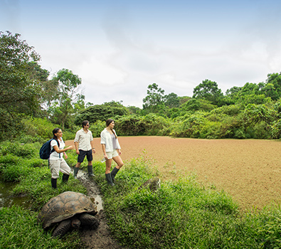 Archipel Galapagos Islands wildlife Atc Cruises for travellers