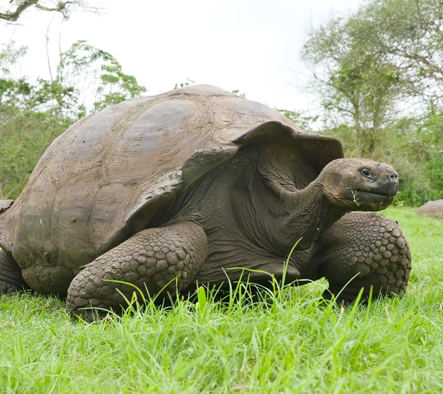 galapagos-archipel-cruise-a