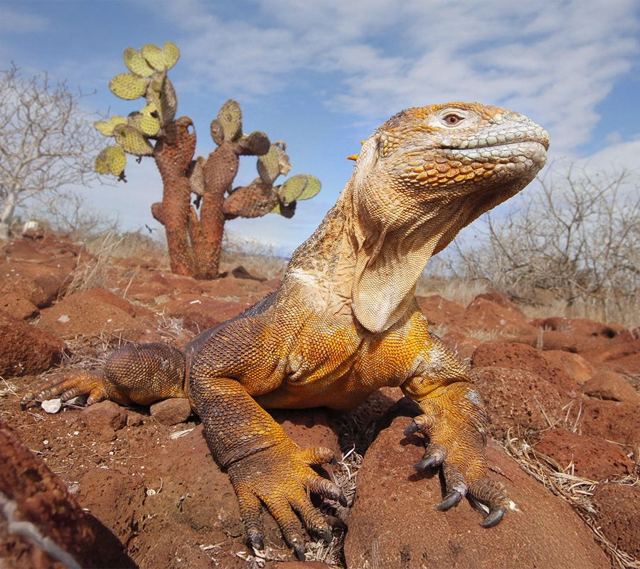 galapagos-archipel-cruise-b